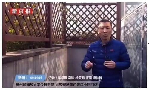 神秘邻居最新爆料视频,揭秘隐藏在幕后的惊人真相！