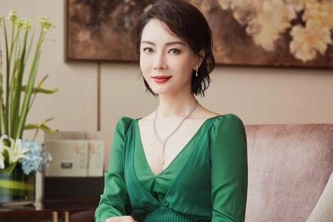 陈数最新爆料消息视频,揭秘幕后的精彩瞬间