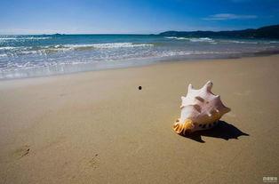 海南海边爆料案件最新,真相即将揭晓！