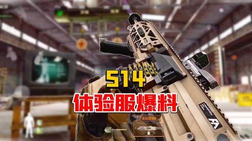 体验服最新爆料暗区突围,体验服新爆料揭秘神秘游戏世界