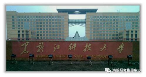 黑龙江科技大学最新爆料,揭秘校园新动态与重大改革举措