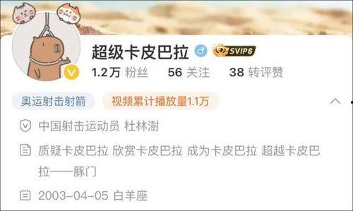 卡哥最新爆料视频下载,带你一探究竟