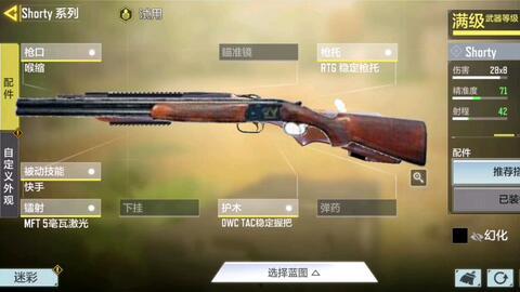 使命召唤最新爆料新枪,神秘新枪震撼登场，性能解析与实战前瞻