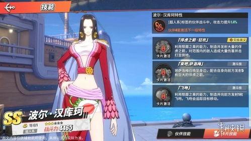 热血航线最新的爆料,揭秘神秘航线背后的传奇故事