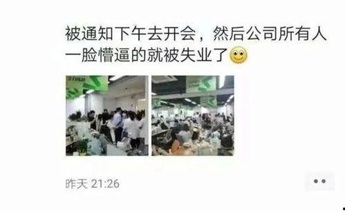 十团最新爆料,最新爆料背后的惊人真相
